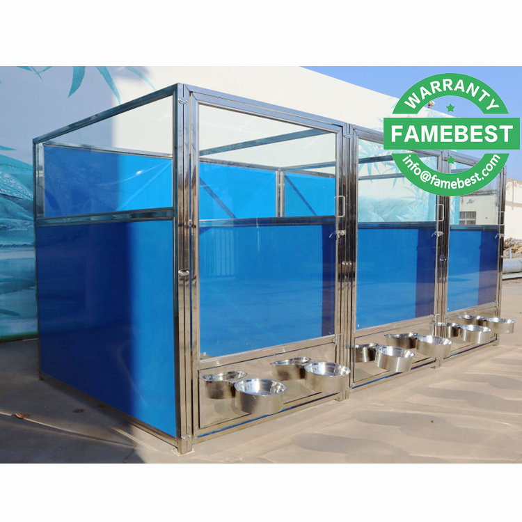 Glass Dog Door